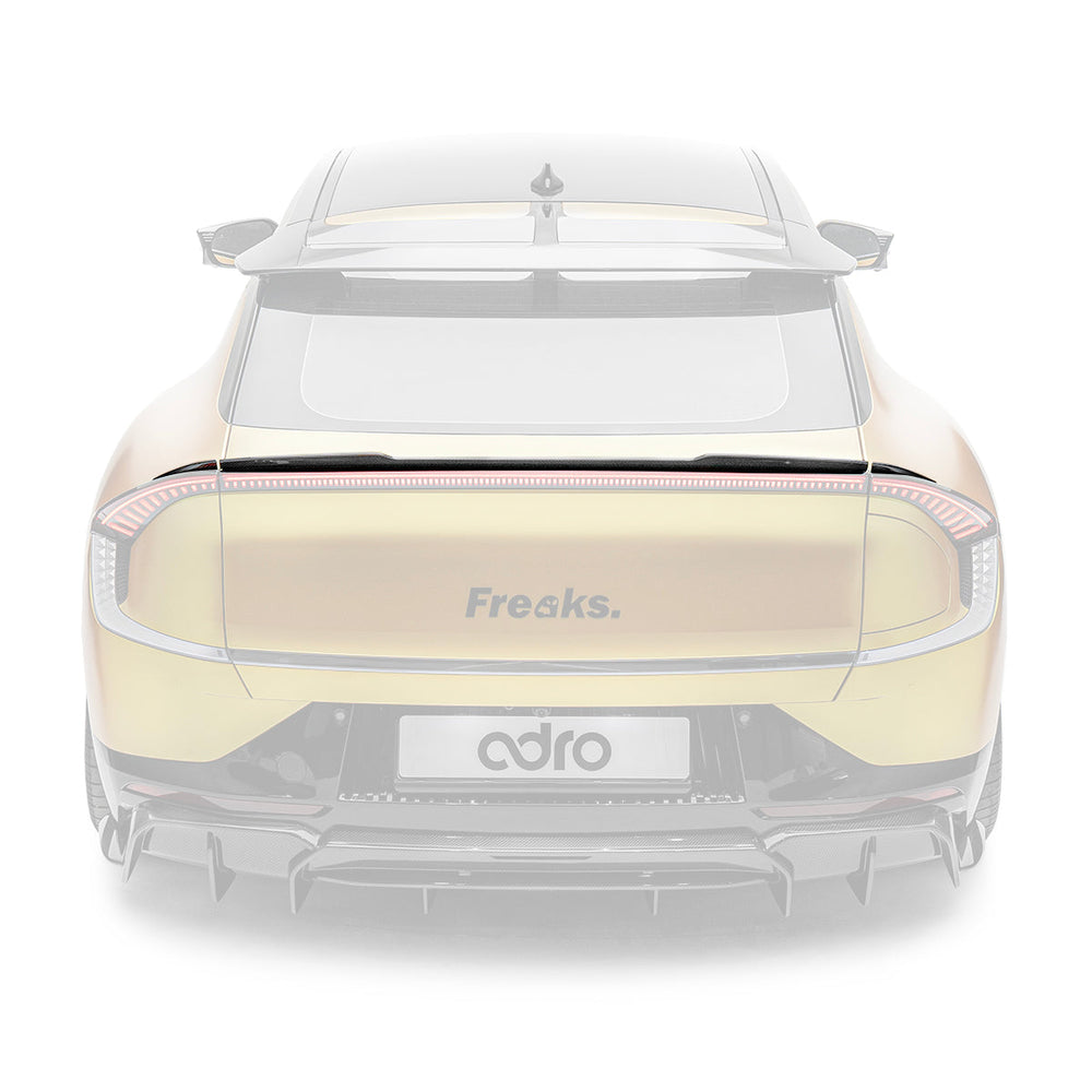 KIA EV6 CARBON FIBER SPOILER