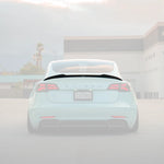 TESLA MODEL 3 CARBON FIBER SPOILER V2