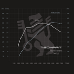 TECHART Techtronic für 718 Cayman / Boxster - T1 +30 PS / +35 Nm (Basis: (T) 2.0L 300 PS)
