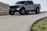 P161SC - Series P1SC