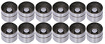 Hydrostößelkit VW VR6 / Audi V6 12V (80.300.024)