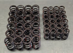 Ventilfedersatz für BMW 6-Zyl. M3 E36 Einfach- und Doppelvanos 24V S50/S52 (63.000.001)