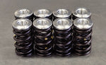 Ventilfedersatz BMW  4-Zyl.  1,5 - 2,0  (M10) (63.100.002)