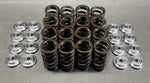 Ventilfedersatz für  Ford  Zetec  1,6 - 2,0 16V  ab Bj.1998 (66.120.001)