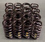 Ventilfedersatz für  Nissan  1,4-1,6 16V  GA14DE, GA16DE, QG15DE, QG18DE (73.350.001)