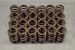 Ventilfedersatz für  Toyota  Supra 3,0 24V (Motor 2JZ-GTE) (82.800.004)