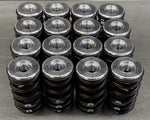 Ventilfedersatz für  Nissan 2,0 16V SR20DE/SR20DET (73.400.001)