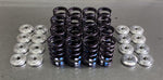 Ventilfedersatz Opel  DOHC  1,2 - 1,4  16V  (Familie 0)  X12XE / Z12XE / Z12XEP / Z14XEP (74.960.002)