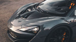 KOFFERAUMDECKEL N-LARGO - 570S