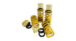 SPORT SPRING SET