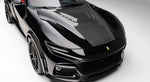 ESTESO MOTORHAUBE CARBON - Purosangue