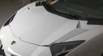 KOFFERRAUMDECKEL - Aventador S