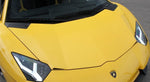 KOFFERRAUMDECKEL - Aventador SV Roadster