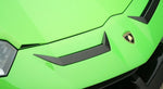 FRONTFLAPS - Aventador SVJ Roadster