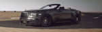 SPOFEC CAN-TRONIC FAHRWERKSMODUL - Dawn Black Badge Overdose