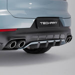 TECHART Endrohr Kit Titan mit Carbon Zierblende (E3)
