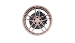Z-Performance ZP2.1 FLOWFORGED 9.5x20 ET22 - Sparkling champagne