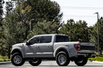 P161SC - Series P1SC