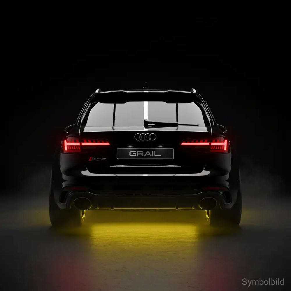 Audi RS4 B9 Grail Exhaust 2-flutig oval Edelstahl RS4 Avant (09/2017-06/2018)