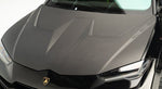 MOTORHAUBE - Urus Performante