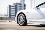 P103SC - Series P1SC