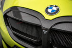 Maxton Carbon Division - Carbon Front Grill passend für BMW 1er M-Paket/ M135i / 128ti F40